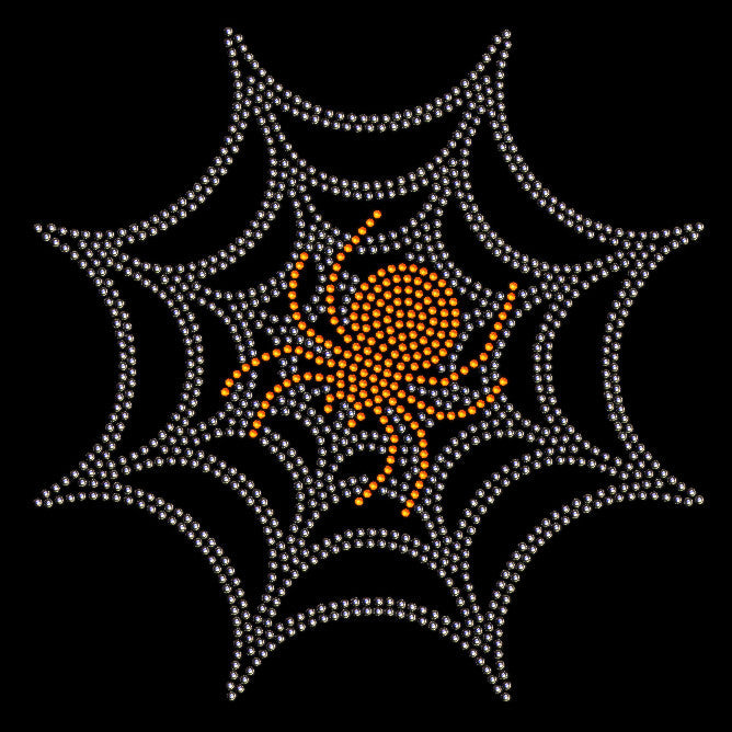 Spindel i spindelnät 25x25 cm