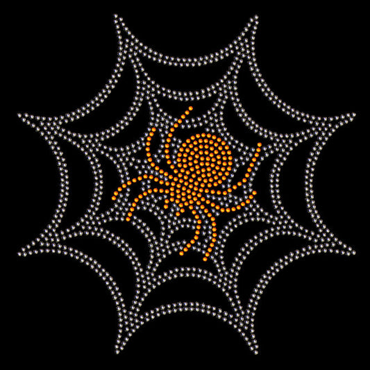 Spindel i spindelnät 25x25 cm