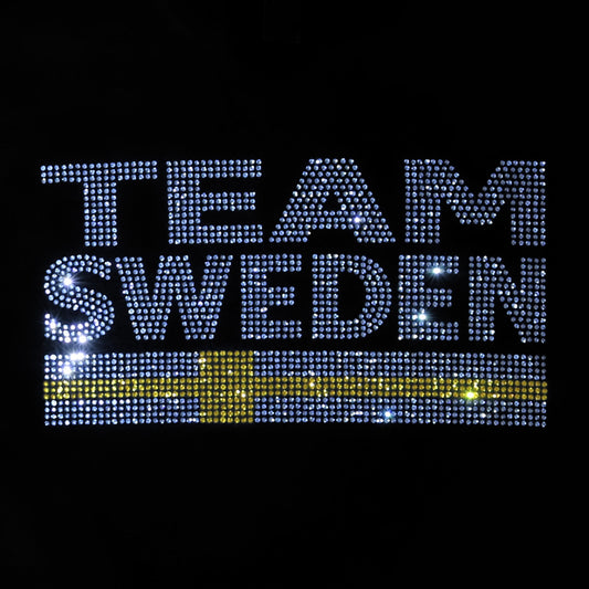 Team Sweden flagga 30x16 cm
